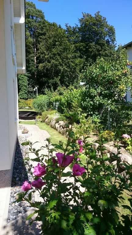 Ferienwohnung Am Waldesrand Зеллин Экстерьер фото